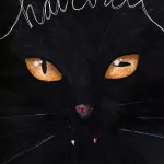 The front cover of "hairball" – a black cover with the face of a cat in the middle. Orange eyes and a bit of blood on its teeth.